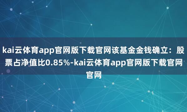 kai云体育app官网版下载官网该基金金钱确立:股票占净值比0.85%-kai云体育app官网版下载官网