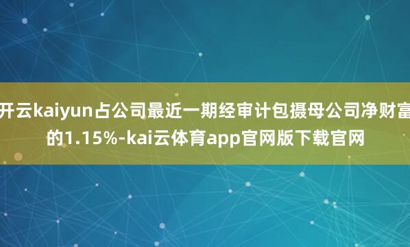 开云kaiyun占公司最近一期经审计包摄母公司净财富的1.15%-kai云体育app官网版下载官网